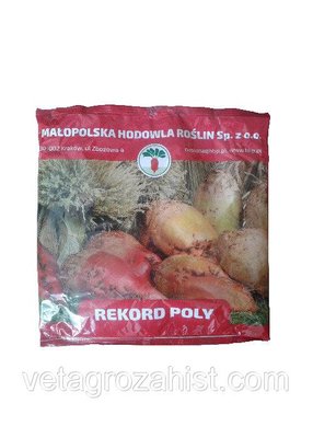 Насіння кормовий буряк Рекорд 1 кг (рожевий) Польща 17374 фото