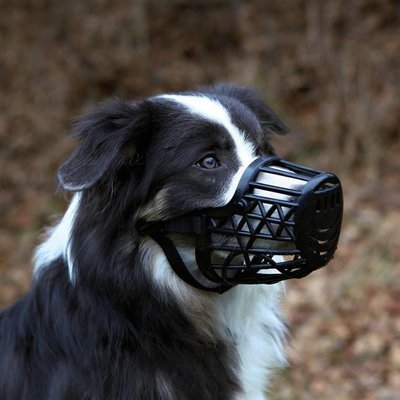 Trixie TX-17602 Намордник для собак пластиковий ( 17см) TX17602 фото
