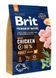 Сухий корм Бріт Brit Premium Adult M для дорослих собак середніх порід (від 10 до 25 кг), 3 кг 170816/6352 фото 1