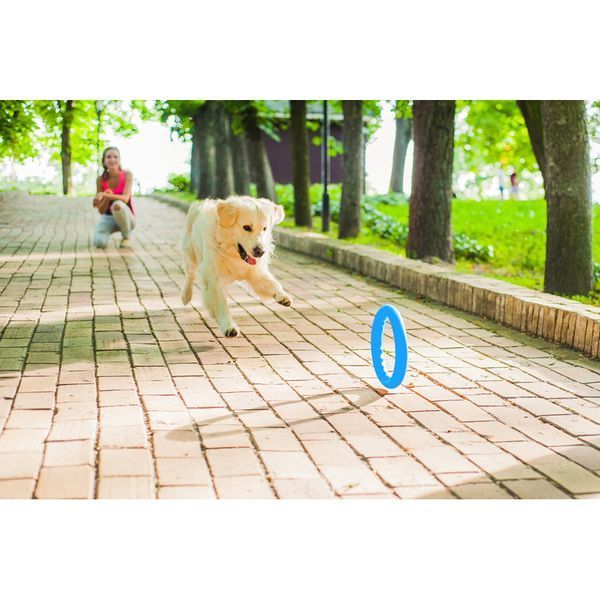 Кільце для апортування PitchDog30, діаметр 28 см блакитний 62382 фото