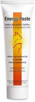 Паста для зміцнення організму у кішок і собак Dolfos Energy, 100 г 180-100 фото