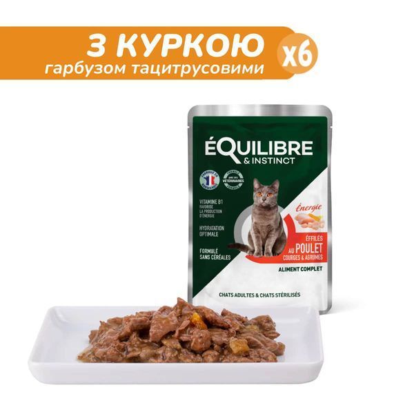 Equilibre пауч для стерилизованных кошек с курицей, говядиной, форелью, лососем 85 г х7976 фото