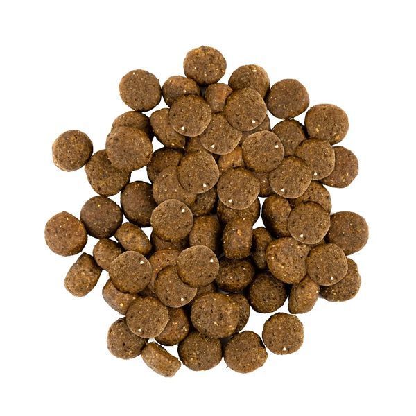 Сейвори Savory Puppy rich in Fresh Turkey & Chicken сухой корм для щенков (индейка и курица), 12 кг 30303 фото