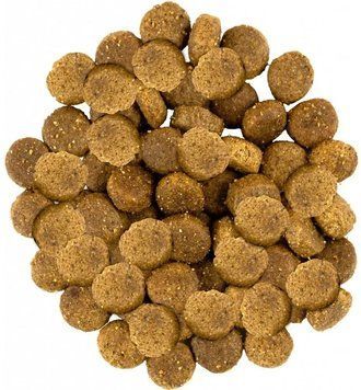 Корм для котів Хіллс Hills SP Feline Sensitive Stomach & Skin сухий корм для шлунку і шкіри з куркою 1 кг (на вагу) 604069-1 фото
