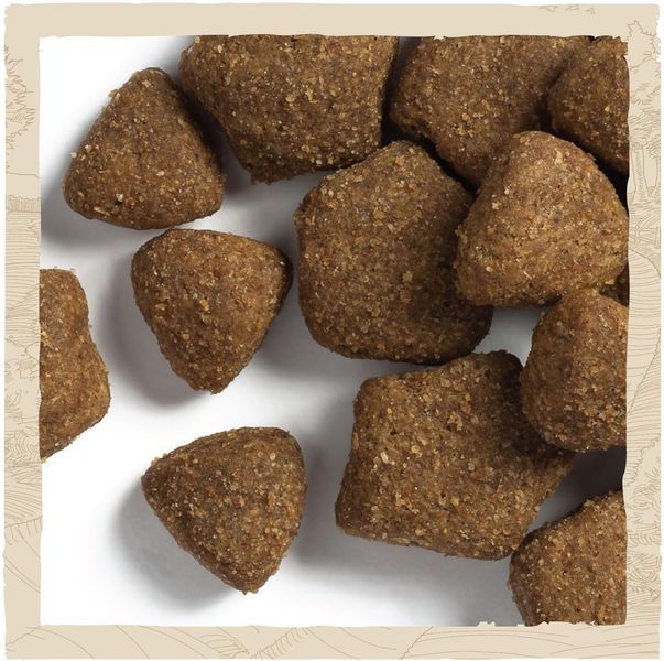 Сухой корм для взрослых собак Dog Chow Adult Lamb с ягненком, 14 кг п150142 фото