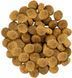 Корм для кошек Хиллс Hills SP Feline Sensitive Stomach & Skin сухой корм для желудка и кожи с курицей 1 кг (на розвес) 604069-1 фото 1