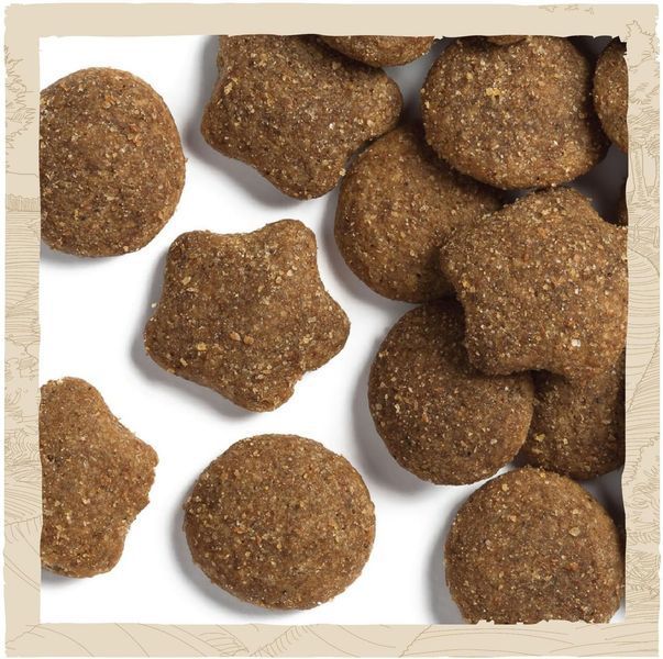 Сухой корм для щенков крупных пород Dog Chow Puppy Large Breed с индейкой, 14 кг п150143 фото
