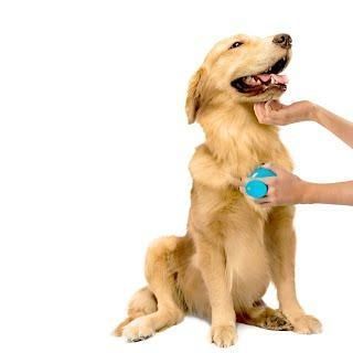Dexas StressBuster-Щетка-массажер для быстрого и комфортного мытья 11330 фото
