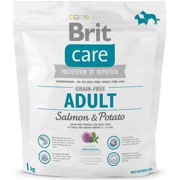 Сухой корм для собак весом до 25 кг Брит Brit Care GF Adult Salmon & Potato 1 кг 132726/0160 фото