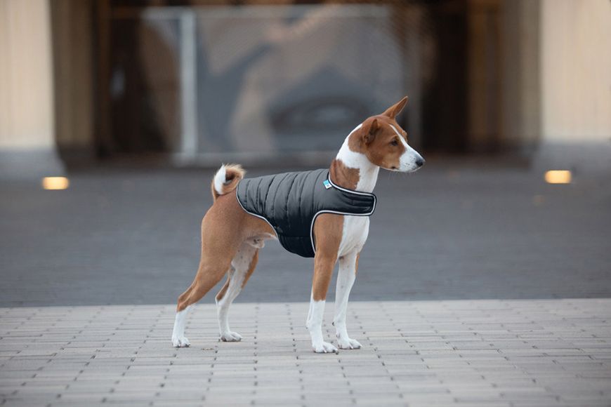 Курточка-накидка для собак AiryVest, XL, B 68-80 см, С 42-52 см черный 15451 фото