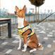 Шлея для собак м'яка WAUDOG Clothes з QR-паспортом, малюнок "Рік і Морті 3", S1 B 40-45 см, C 29-31 см 2905-0282 фото 5