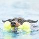Іграшка для собак Конг KONG AirDog Squeaker Bone повітряна кістка з пискавкою, розмір S 775289 фото 3
