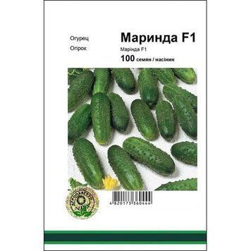 Семена огурца Маринда F1 100 сем., Seminis, Голландия 22120 фото