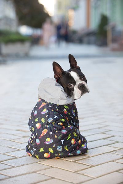 Комбинезон для собак WAUDOG Clothes рисунок "Рик и Морти 2", S40, В 58-61 см, С 33-38 см 5440-0281 фото