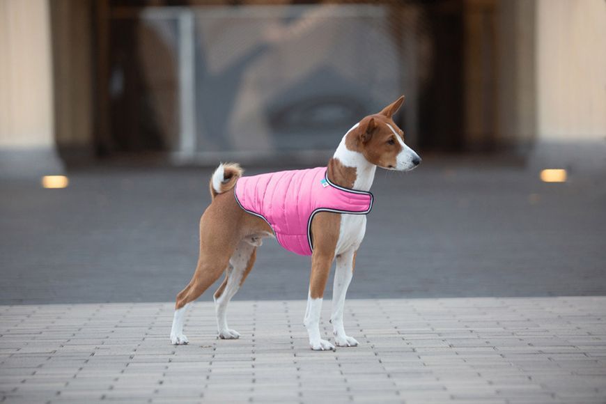 Курточка-накидка для собак AiryVest, XL, B 68-80 см, С 42-52 см розовый Collar15457 фото