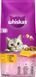 Сухой корм Whiskas (Вискас) для взрослых кошек с курицей, 14 кг 149657 фото 3