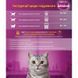 Сухой корм Whiskas (Вискас) для взрослых кошек с курицей, 14 кг 149657 фото 1