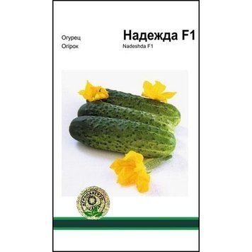 Насіння огірка Надія F1 100 сем., Seminis, Голандія 7035 фото