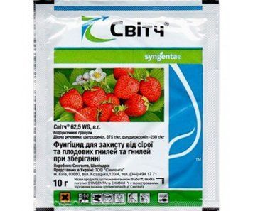 Світч 10 г Syngenta 2595 фото