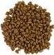 Сухой корм для взрослых кошек Сейвори Savory Adult Cat Sensitive Digestion Fresh Lamb & Turkey, 400 г 30075 фото 3