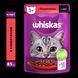 Влажный корм Whiskas (Вискас) с говядиной в соусе для взрослых кошек 85 г (блок 28 шт) 443929 фото 2