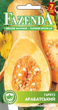 Насіння гарбуза Арабатська 3г, FAZENDA, O. L. KAR 18615 фото
