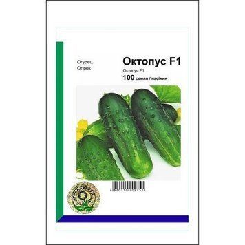 Насіння огірка Октопус F1 100 сем., Syngenta, Голандія 7045 фото