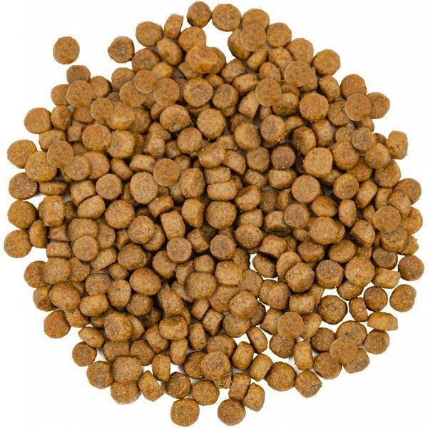 Сухий корм для довгошерстих котів Сейворі Savory Adult Cat Gourmand Fresh Salmon & White Fish з лососем, 400 г 30013 фото