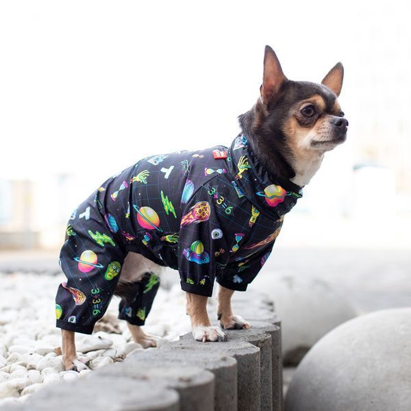 Ветровка для собак WAUDOG Clothes, рисунок "Рик и Морти 2", XS22, В 30-34 см, С 19-21 см 5322-0281 фото