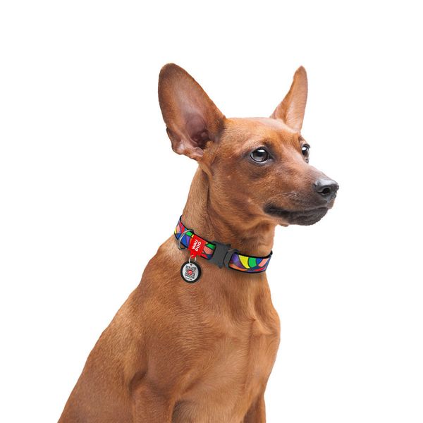 Нашийник для собак нейлоновий WAUDOG Nylon з QR-паспортом, малюнок "Вітраж", металева пряжка-фастекс, Ш 15 5172 фото