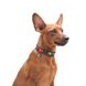 Ошейник для собак нейлоновый WAUDOG Nylon c QR паспортом, рисунок "Витраж", металлическая пряжка-фастекс, Ш 15 5172 фото 4
