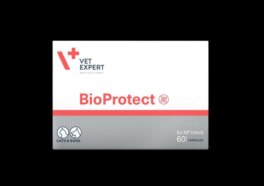 Vet Expert BioProtect (БіоПротект) для котів і собак із порушеною шлунково-кишковою мікрофлорою 60 капсул х58440 фото