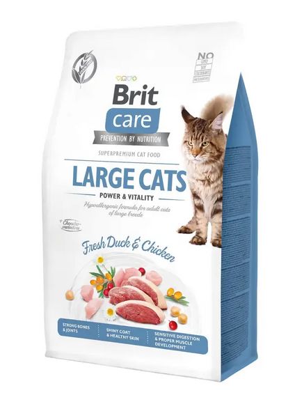 Сухой корм для кошек крупных пород Брит Brit Care Cat GF Large cats Power&Vitality с уткой и курицей, 2 кг 171310/0914 фото