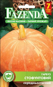 Насіння гарбуза Стофунтовая 20г, FAZENDA, O. L. KAR 16557 фото