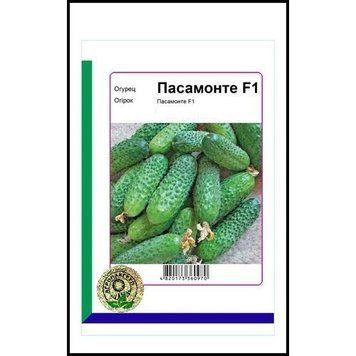 Насіння огірка Пасамонте F1 10 сем., Syngenta, Голандія 6952 фото