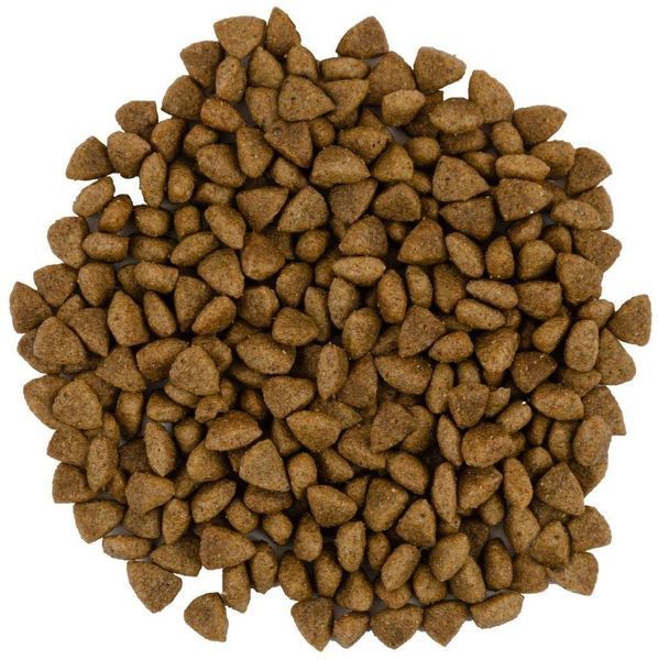 Сухий корм Сейворі Savory Adult Cat Sensitive Digestion Fresh Lamb & Turkey, 8 кг 30099 фото