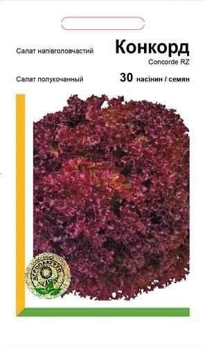 Насіння Салат Конкорд напівкачаний 30 насінин Rijk Zwaan 28651 фото