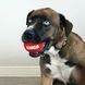 Набор мячиков для собак Конг KONG Dog Signature Sport Balls игрушка для собак (набор 3 шт), размер S 503196 фото 6