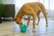 Игрушка для собак Конг KONG Dog Licks Rewards лизунец для лакомства, размер M/L 23415 фото 4