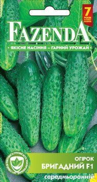 Насіння огірка Бригадний F1 3г, FAZENDA, O. L. KAR 21698 фото