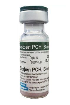Біофел ПКГ Biofel PCH інактивовний проти панлейкопенії, каліцивірозу та герпесвірусної інфекції котів 1 доза VS-BIV85773 фото