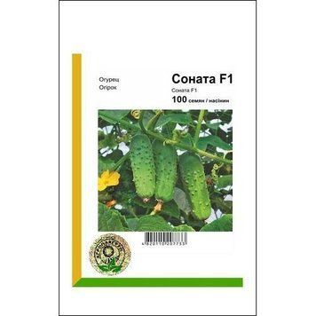 Насіння огірка Соната F1 100 сем., Rijk Zwaan, Голландія 18271 фото