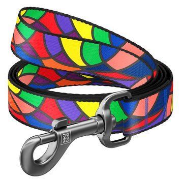 Повідець для собак нейлоновий WAUDOG Nylon, малюнок "Вітраж", Ш 25 мм, Д 122 см 4596 фото