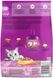 Сухой корм Whiskas (Вискас) для взрослых кошек с курицей, 300 г 450215 фото 2