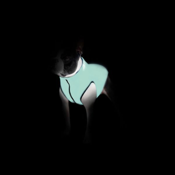 Курточка для собак AiryVest Lumi двусторонняя, светящаяся, размер S 30, салатово-голубая 2166 фото