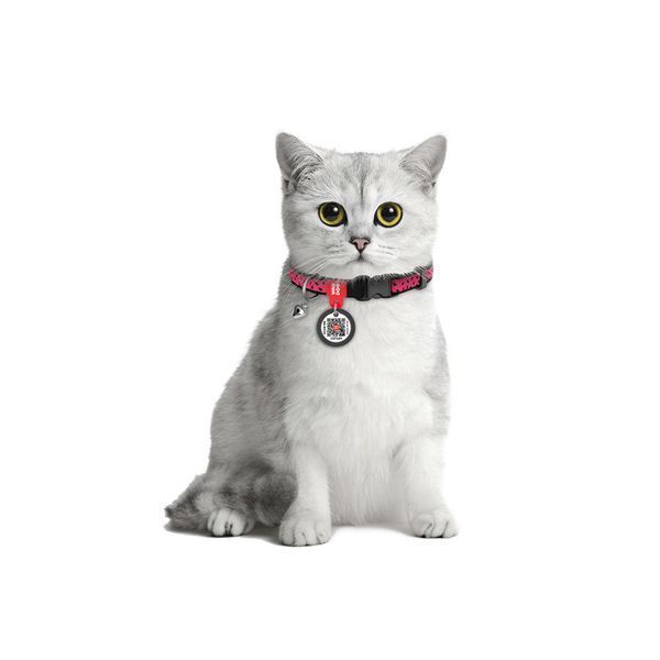 Нашийник для котів нейлоновий WAUDOG Nylon з QR-паспортом, малюнок "Арбуз", пластиковий фастекс, Ш 10 мм, Дл 5269 фото