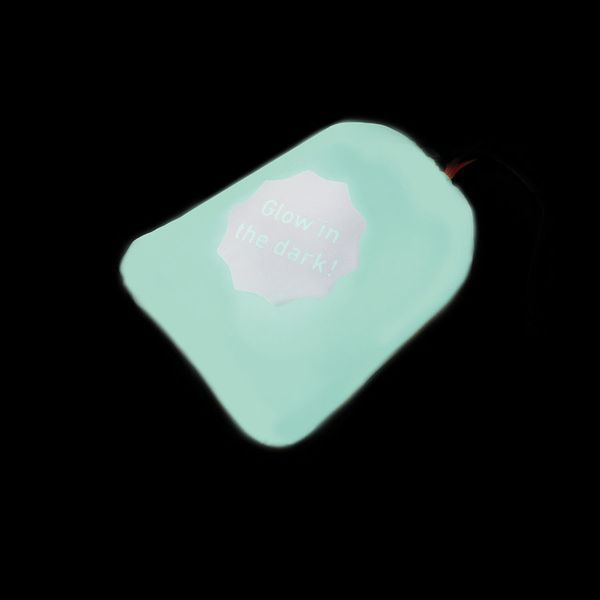 Курточка для собак AiryVest Lumi двусторонняя, светящаяся, размер S 30, салатово-голубая 2166 фото