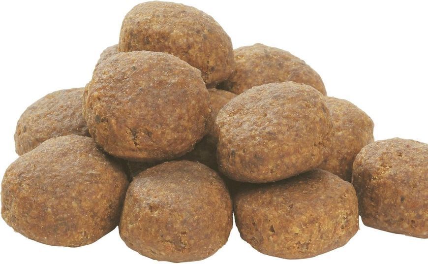 Сухий корм для дорослих собак великих порід Purina Pro Plan Large Robust Everyday Nutrion з куркою 14 кг п100100 фото