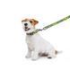Повідець для собак нейлоновий WAUDOG Nylon малюнок "Сдрібність", M, Ш 20 мм, Д 122 см 4920-0231 фото 5