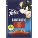 Вологий корм для котів Фелікс Felix Fantastic з яловичиною в желе 85 г Purina 072626 фото 1